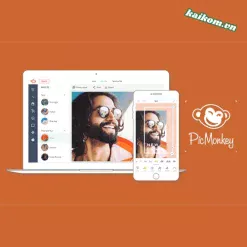 Tài khoản Picmonkey Basic (12 Tháng) – Thiết kế, chỉnh sửa ảnh trực tuyến